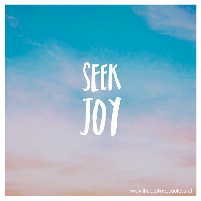 "Seek Joy"