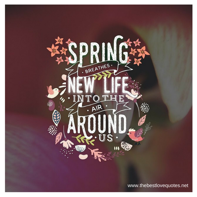"Spring breathes new life into the air around us"