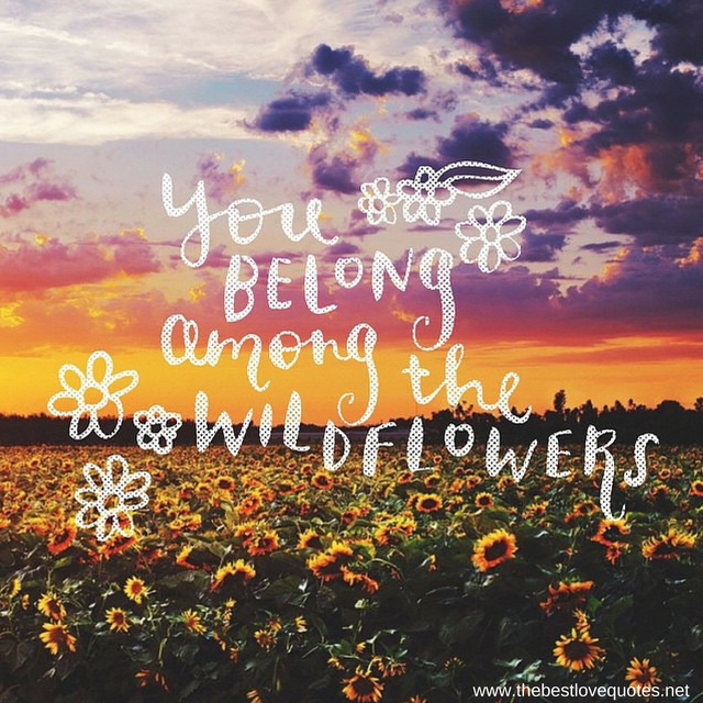 "You belong among the wild flowers"