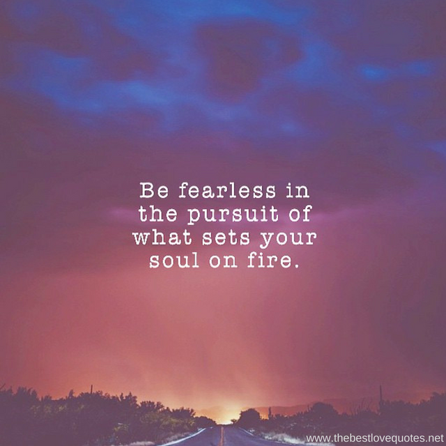"Be fearless in the pursuit of what sets your soul on fire"