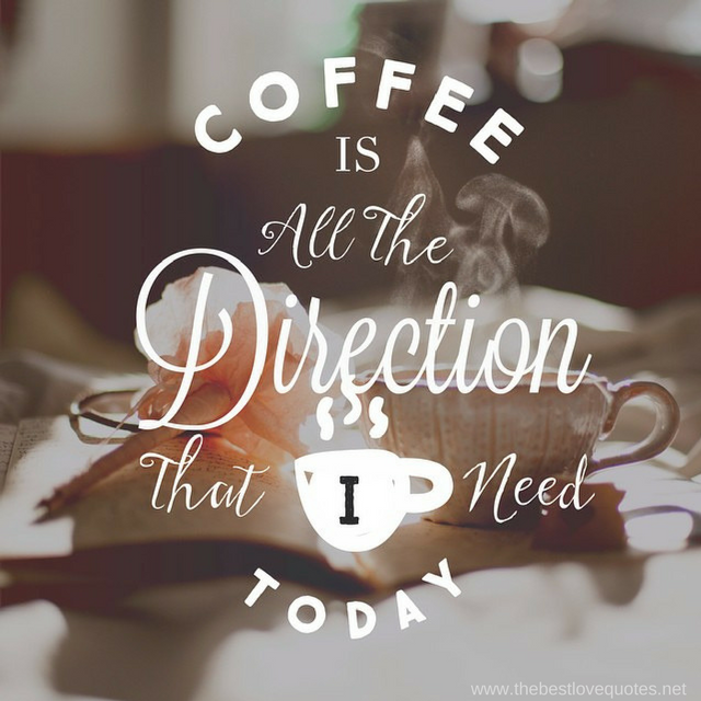 "Coffee is all the direction that I need today"