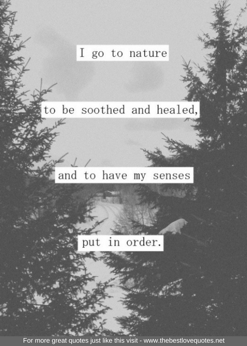 "I go to nature to be soothed and healed and to have my senses put in order"