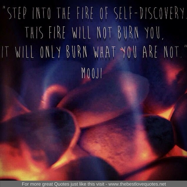 "Step into the fire of self-discovery, this fire will not burn you, it will only burn what you are not" - Mooji