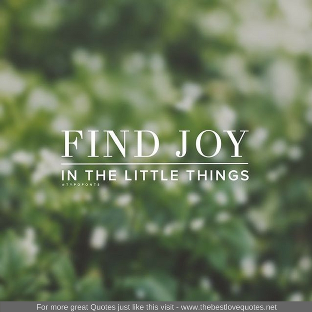 "Find joy in the little things"