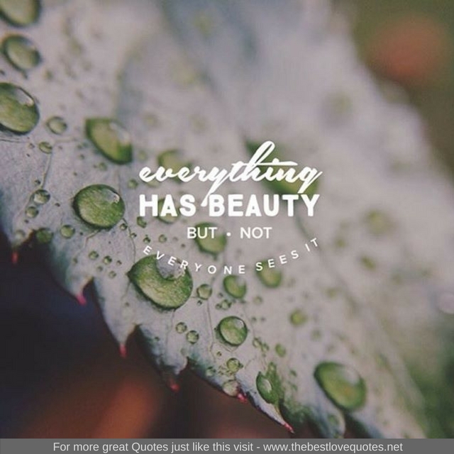 "Everything has beauty, but not everyone sees it"