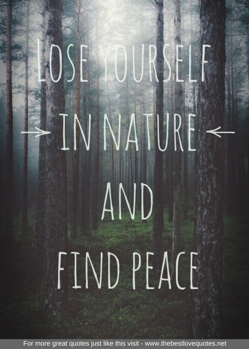 "Lose yourself in nature and find peace"