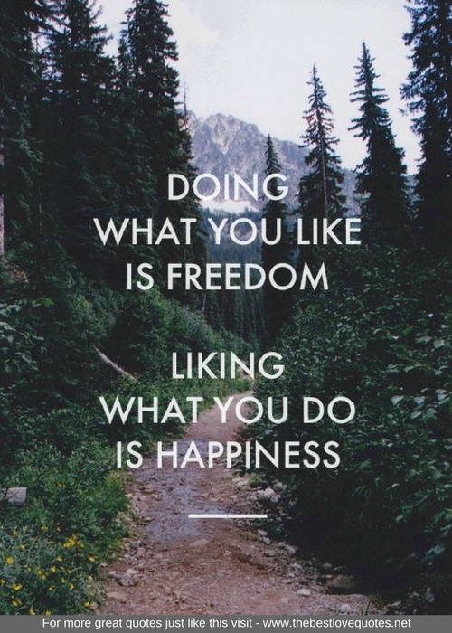 "Doing what you like is freedom, liking what you do is happiness"