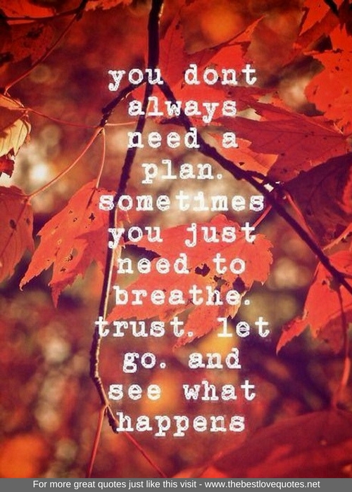 "You don’t always need a plan. Sometimes you just need to breathe, trust, let go and see what happens"
