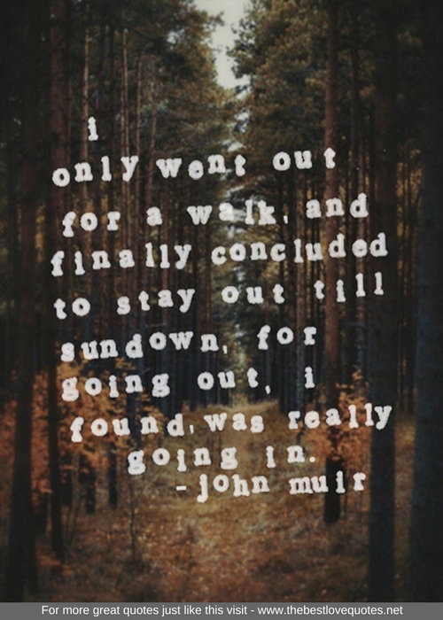 "I only went out for a walk, and finally concluded to stay out till sundown, for going out, I found, was really going in." - John Muir