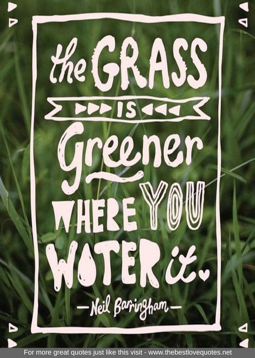 "The grass is greener where you water it" - Neil Barringham