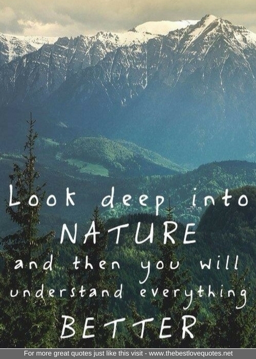 "Look deep into nature and then you will understand everything better"
