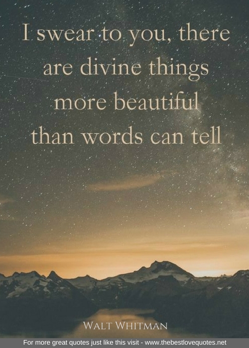 "I swear to you, there are divine things more beautiful than word can tell" - Walt Whitman
